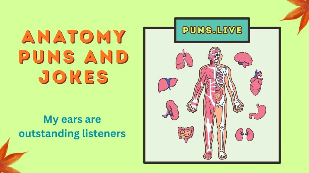 Anatomy Puns and Jokes
