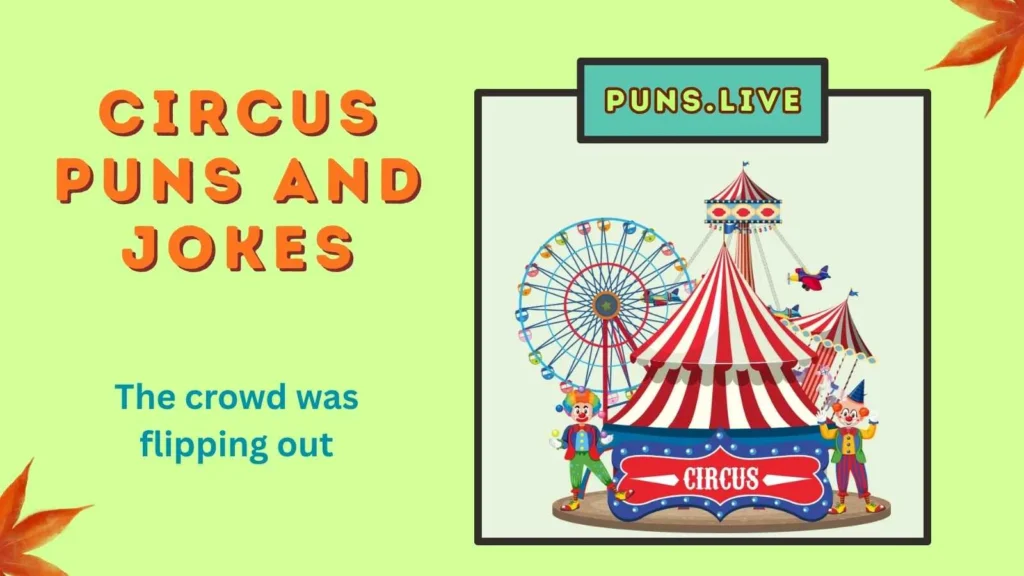 Circus Puns and Jokes
