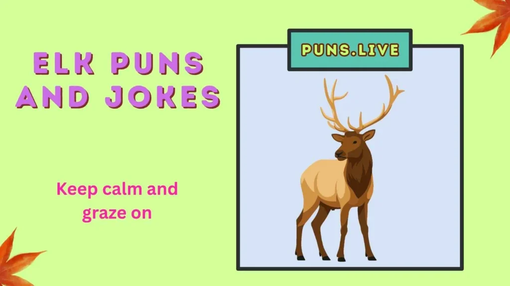 Elk Puns and Jokes