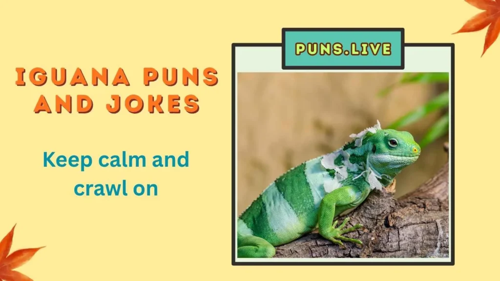 Iguana Puns and Jokes