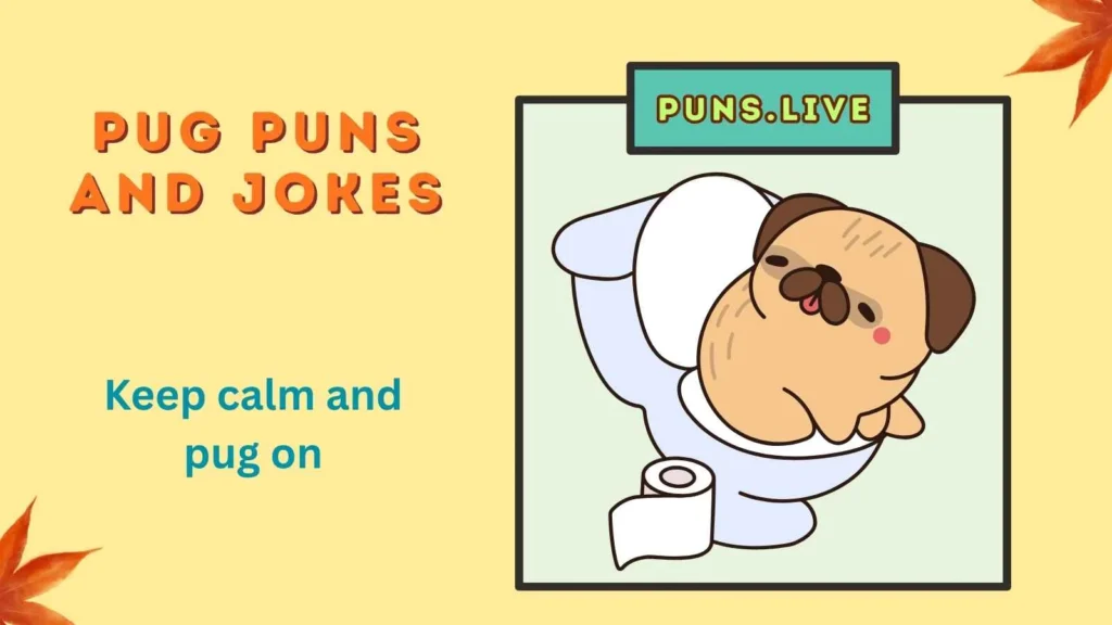 Pug Puns and Jokes