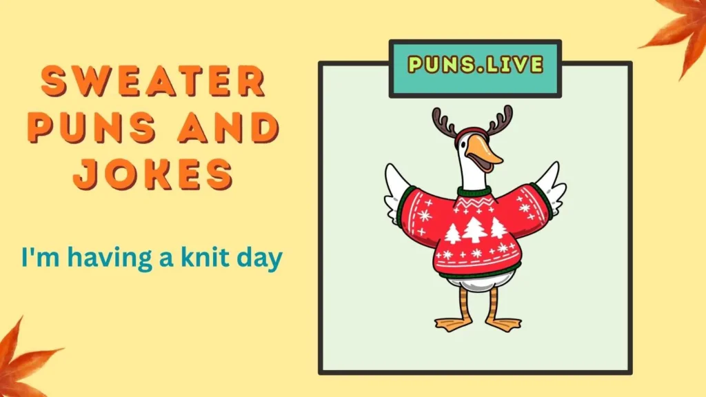 Sweater Puns and Jokes