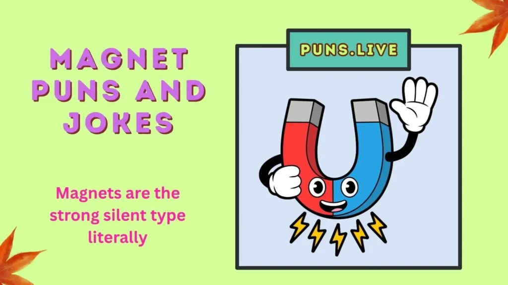 Magnet Puns and Jokes